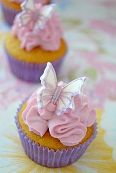 two cupcakes with pink frosting and a butterfly decoration on the top one