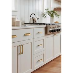 a kitchen with white cabinets and gold pulls on the handles, along with a potted plant