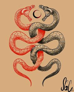 a red and black snake on a tan background with the word slu below it