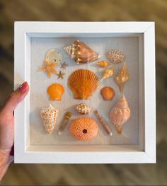 a person holding up a shadow box with seashells in it