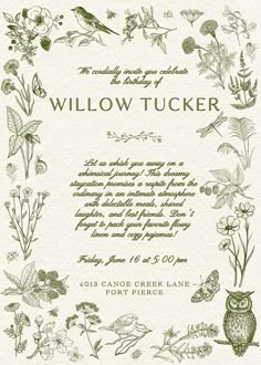 the front cover of willow tucker's book, with an illustration of flowers and birds