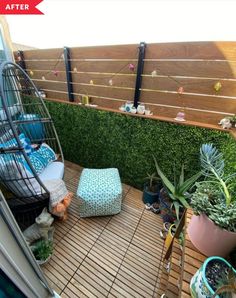 a bird cage sitting on top of a wooden deck