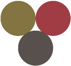 an image of three circles in the middle of each circle, with one red and one brown