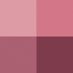 two different shades of pink and red are in the same color scheme for this image