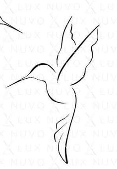 a black and white drawing of a humming bird with its wings spread out to the side