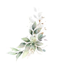 watercolor painting of green leaves on white background