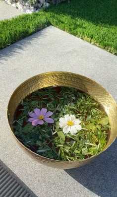 Self Care Room, Four Noble Truths, Eightfold Path, H Aesthetic, Noble Truths, Spiritual Girl, Spiritual Vibes, Green Vibes, Healing Room