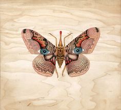 a painting of a butterfly with blue eyes on it's wings and back wing