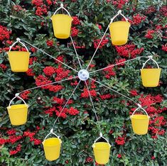 several yellow buckets hanging from a wire in front of red flowers and shrubbery