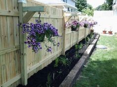 some purple flowers are growing on the side of a fence