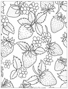 a coloring page with strawberries and flowers