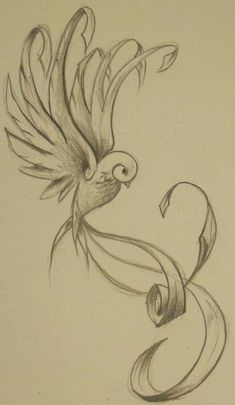 a pencil drawing of a bird with wings and swirls on it's back