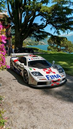 a race car parked on the side of a road next to a tree and flowers