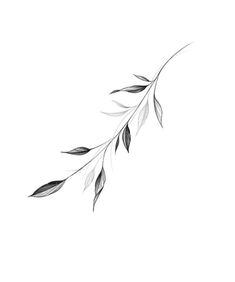 a black and white photo of a branch with leaves in the middle, on a white background