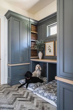 two dogs sitting on pillows in the corner of a room with built - in bookshelves