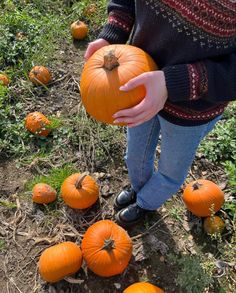 a person holding a pumpkin in their hand near many small pumpkins on the ground