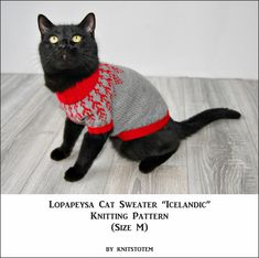 a black cat wearing a sweater and sitting on the floor