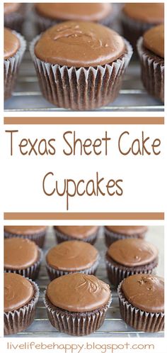 texas sheet cake cupcakes with chocolate frosting in the middle and on top