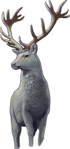 a drawing of a deer with antlers on it's head