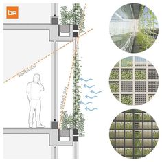 the diagram shows different stages of growing plants in an urban area, including water and vegetation