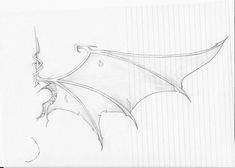 a pencil drawing of a bat flying through the air