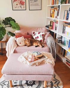 a cat laying on top of a pink couch next to a book shelf