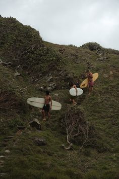 three people walking up a hill with surfboards