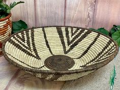 a brown and white basket sitting on top of a wooden table next to potted plants