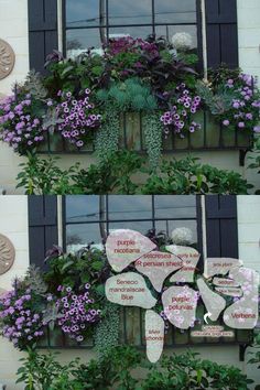 the windows are decorated with different types of flowers and plants on them, along with words written in spanish