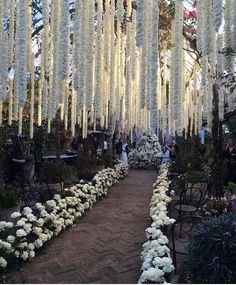 the walkway is lined with white flowers and hanging from it's ceiling in an open area