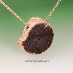 "A very unique polished piece of natural petrified palm wood.  Grain is clearly visible in this wood, as I try with each piece of stone rough to find and then feature the most beautiful aspect.  The pendant is polished on both sides, so there is no front or back - neither is more beautiful than the other. The pendant is drilled through the top; a 3.5mm diameter hole; a size large enough for most chains appropriate to the scale of the pendant.  Leather cord looks great too.  The chain is not included, but may be purchased together, from the drop-down menu.  The chain shown is a 14k gold-filled, 18\" in length. I do all my own lapidary work, and source most of the material used and seen in my shop, myself.   This is a one-of-a-kind pendant. Thanks so much and please do not hesitate to inquir Honeycomb Necklace, Bee Lover Gifts, Palm Wood, Bff Jewelry, Bee Jewelry, Sterling Silver Initial, Bee Gifts, Bee Necklace, Petrified Wood