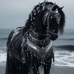 a black horse standing on top of a beach next to the ocean