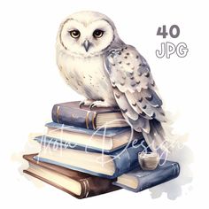 an owl is sitting on top of some books and has the words j p g written below it