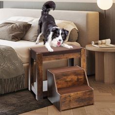 a black and white dog standing on top of a wooden table next to a bed