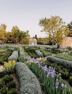 an outdoor garden with various plants and flowers in the center, surrounded by stone walls