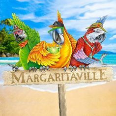 three parrots sitting on top of a sign that reads margaritanille with the beach in the background