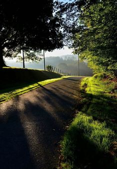 the sun shines through the trees and casts shadows on the road that is lined with green grass