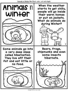 an animal's winter activity for kids to learn how to use the water cycle