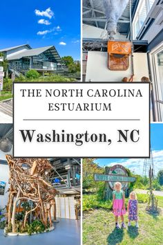 The North Carolina Estuarium in Washington, NC. Washington Nc, Nc Travel, Calendar Ideas