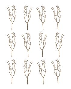 six different types of branches on a white background, each with their own thin stems