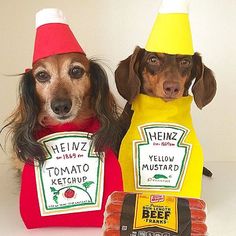 two dogs wearing funny costumes and holding hotdogs in front of the camera,