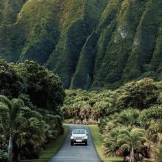 a white jeep driving down a road surrounded by lush green trees and mountain range in the background