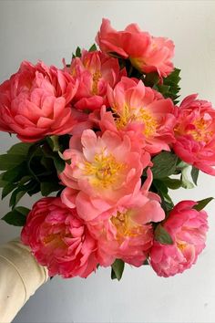 a bouquet of pink peonies in someone's hand on a white background