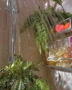 a shower head with plants and soaps on the shelf next to it in a bathroom