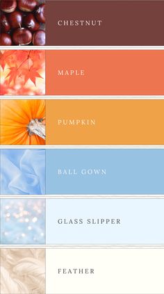 the color palettes for autumn and fall