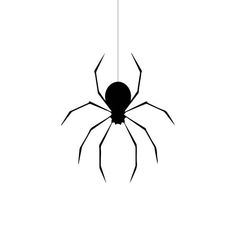 a black and white spider hanging on a string