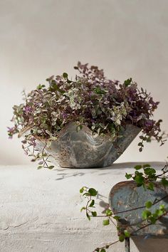 a potted plant sitting on top of a white table next to a vase filled with purple flowers