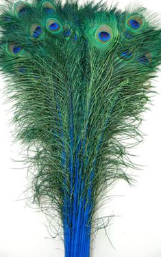 there is a blue vase with peacock feathers on it