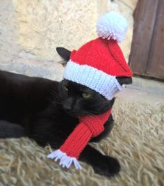 a black cat wearing a red and white knitted hat