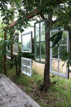 several windows are hanging from the side of a tree in front of a wooden deck